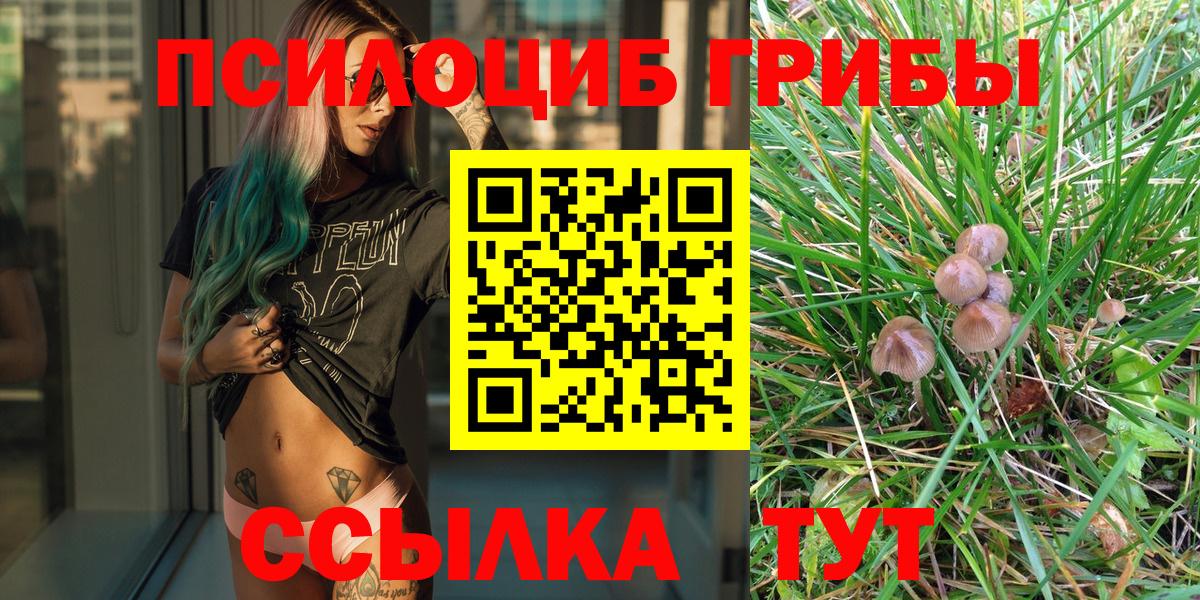 Галлюциногенные грибы Psilocybe Кимовск