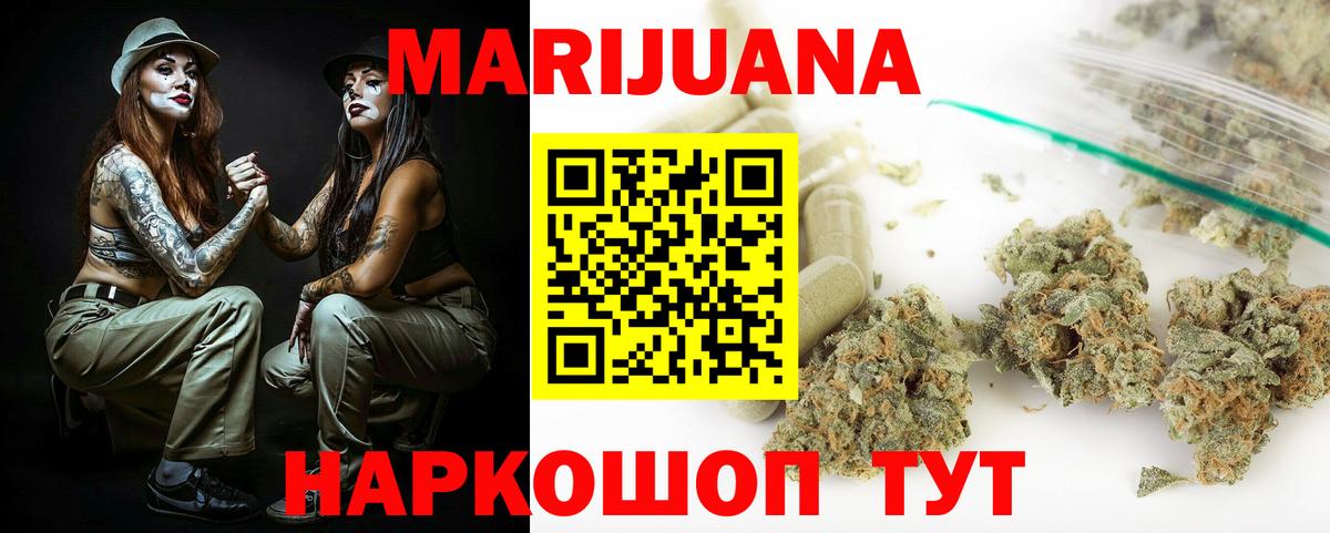 Канабис планчик Кимовск